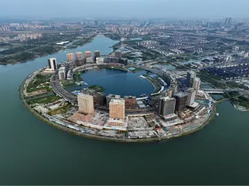 河南自贸区：以“制”取胜，打造对外开放新高地