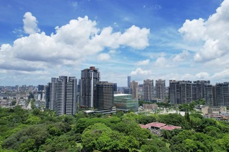 量身定制，中山出台个体工商户分型分类工作方案