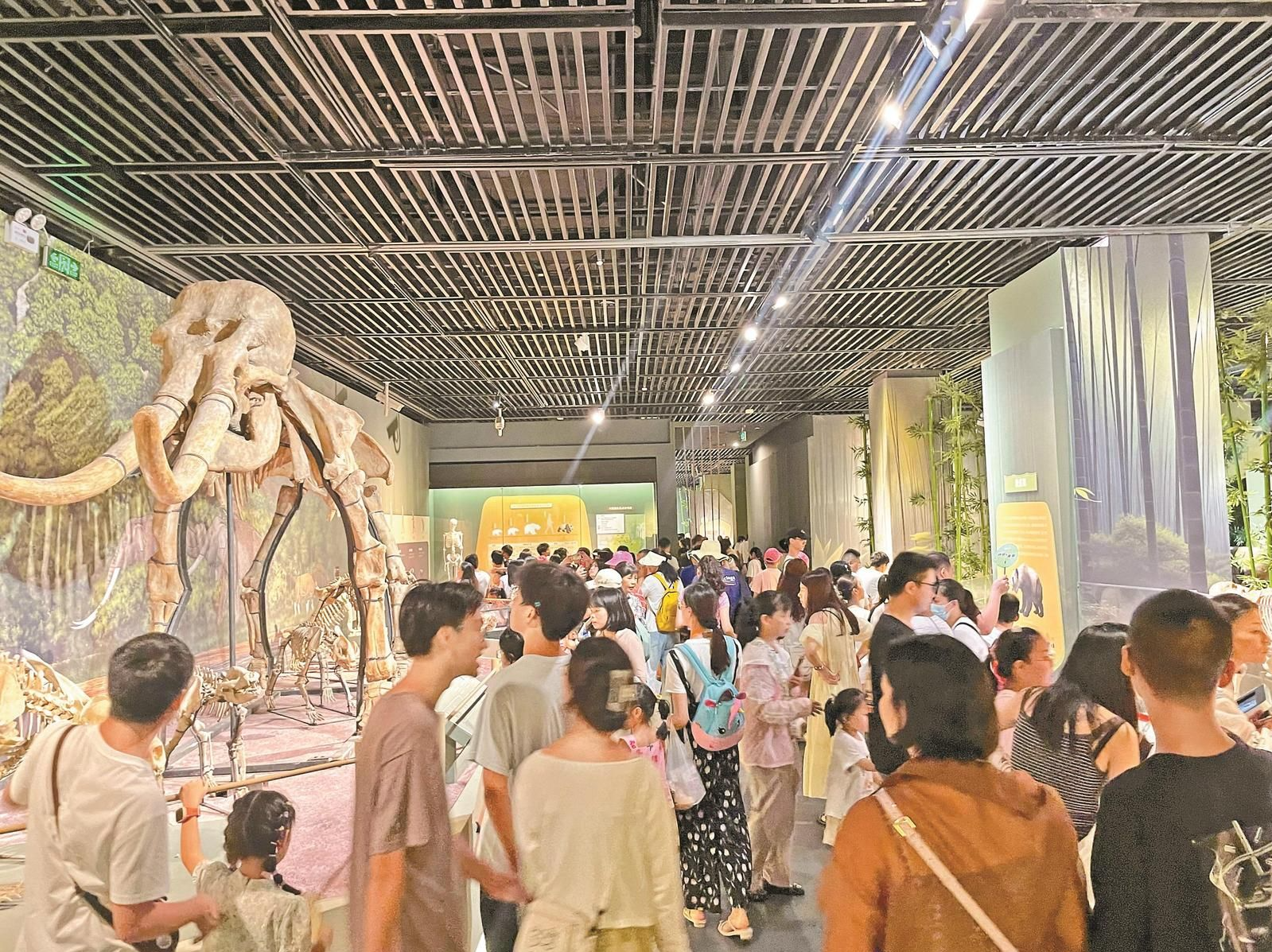 晶报特别报道｜深圳博物馆：线上线下，非凡今夏