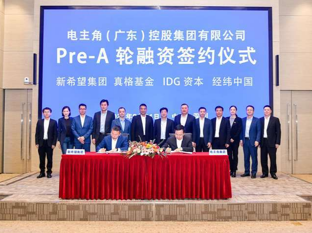 多次造假、数千万元融资成谜团，这家企业把自己P成“中国数码零售巨头”丨网事