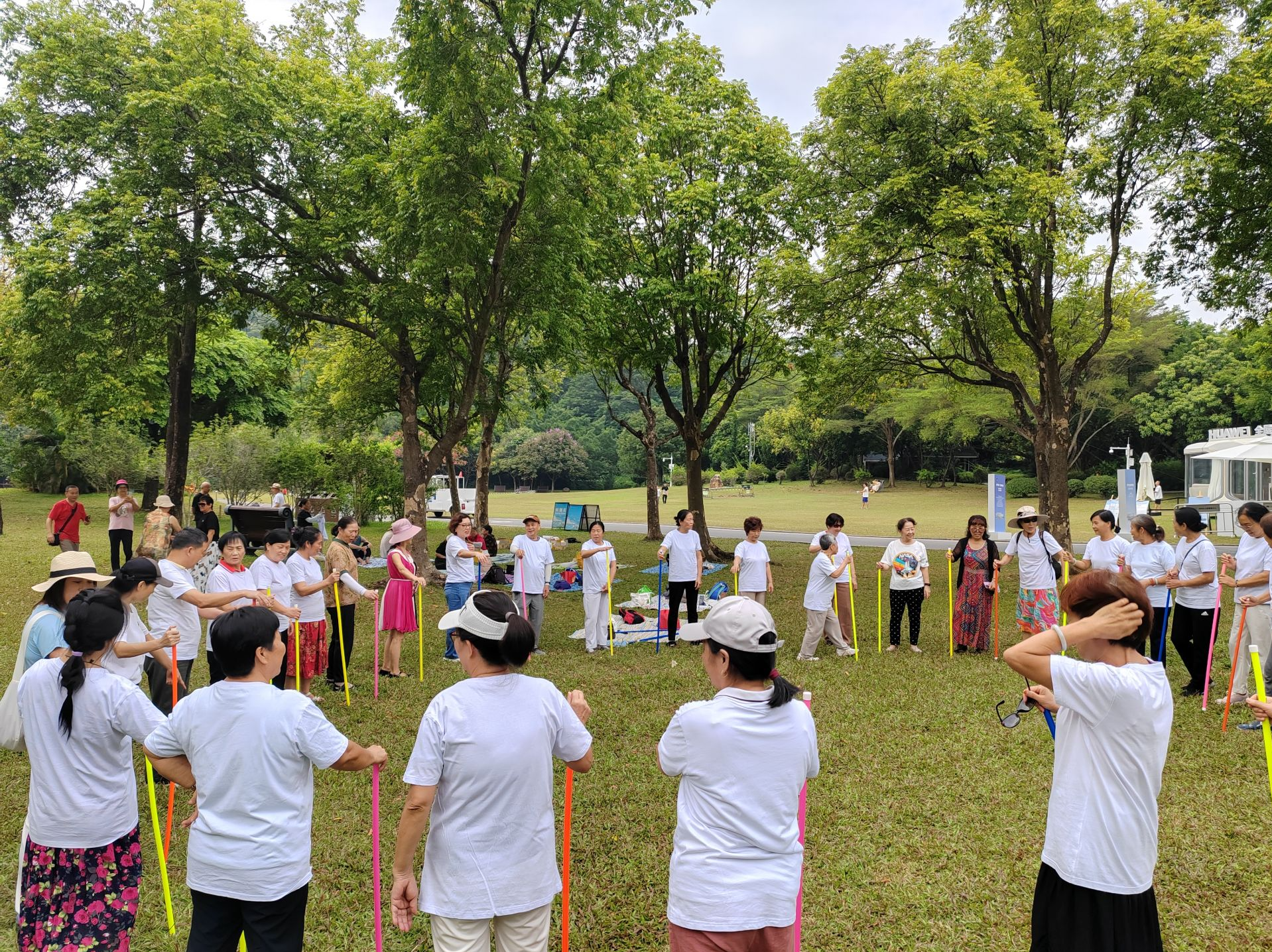传承敬老美德，蛇口街道湾厦社区举行重阳主题出行活动