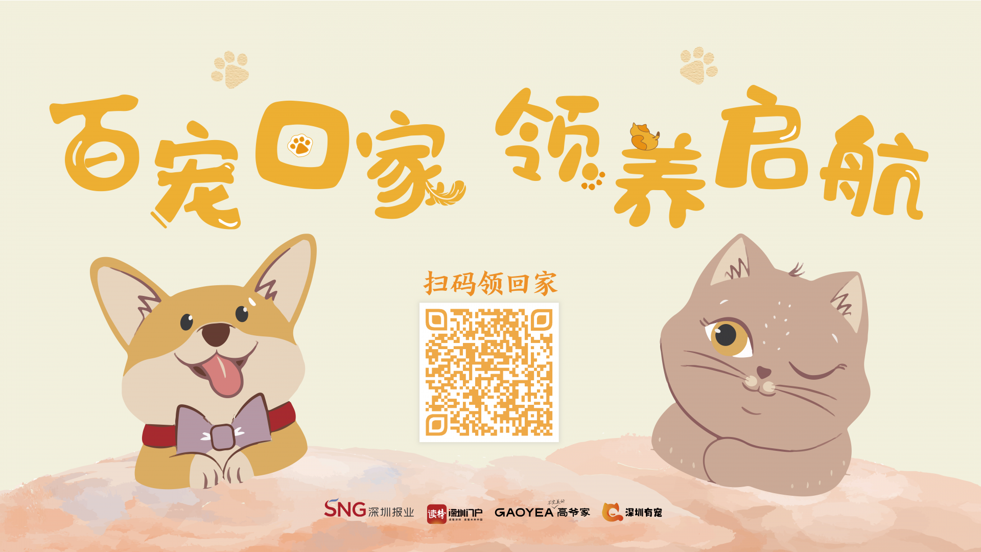 “百宠回家”领养宠物，规范领养才是爱