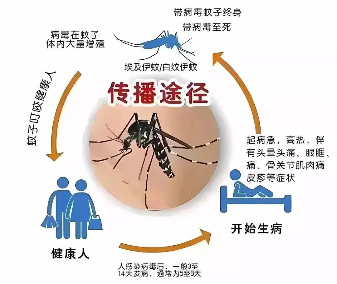 警惕！深圳新增115例登革热病例，29个社区有传播风险