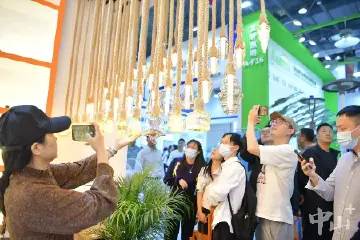 展览面积超1000平方米！第31届古镇灯博会将举办深圳特展