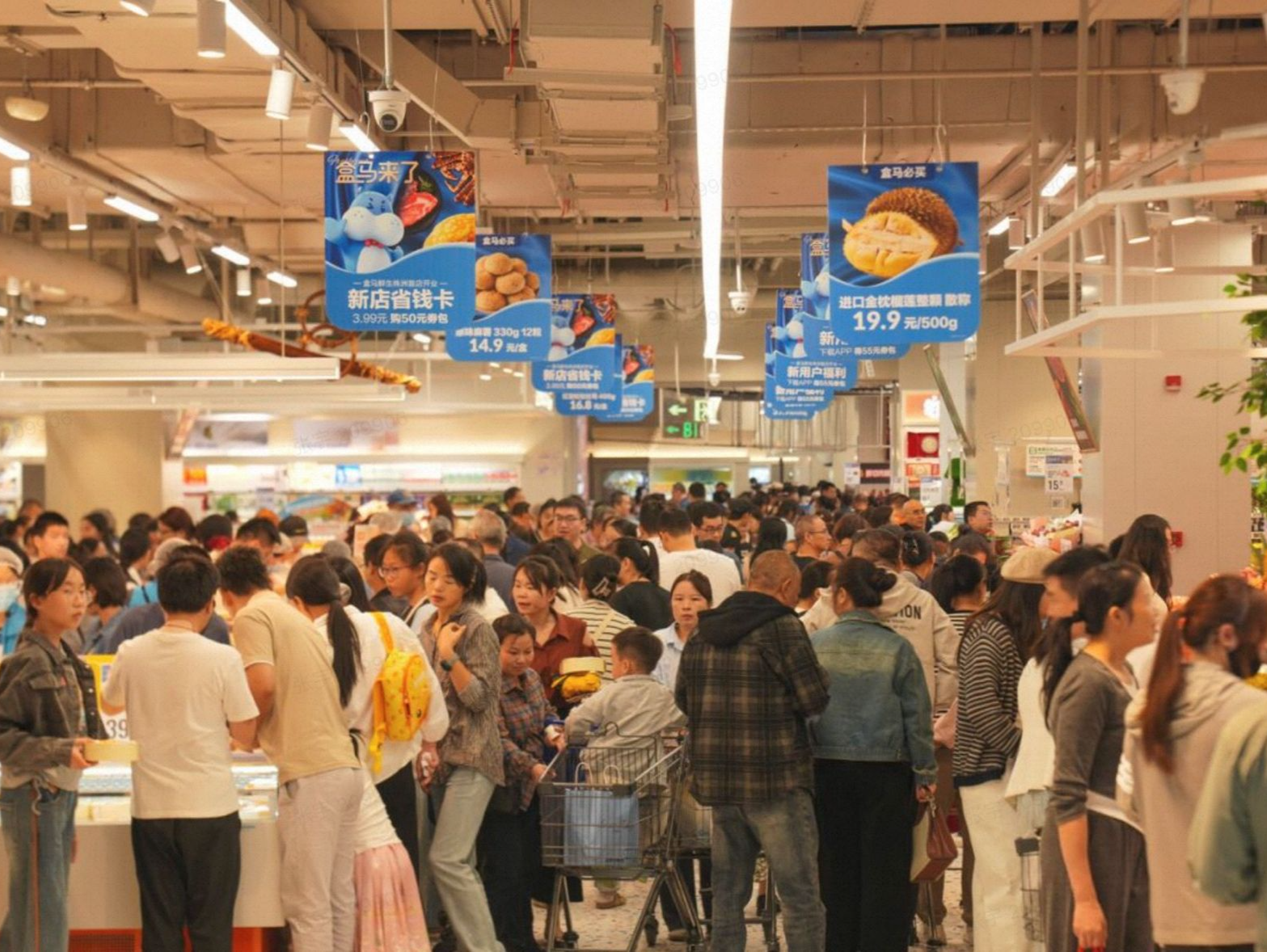 榴莲千层、椰子水、帝王蟹……国庆期间盒马爆品被疯抢