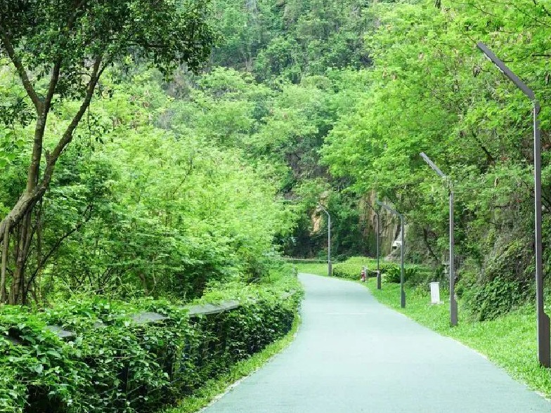 假期人太多挤到“缺氧”？试试来这里“吸氧”吧