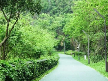 假期人太多挤到“缺氧”？试试来这里“吸氧”吧