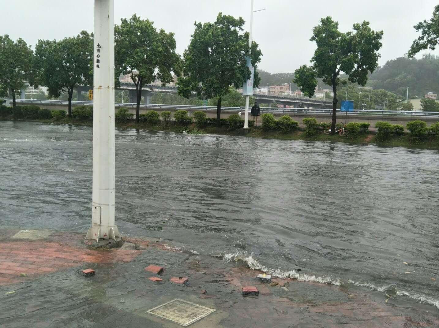全国多地出现海水倒灌，专家分析 