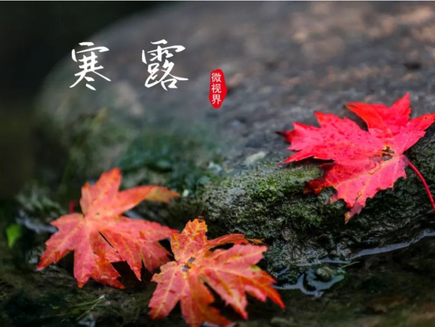 专家科普 | 秋日寒露，如何应对干燥天气？