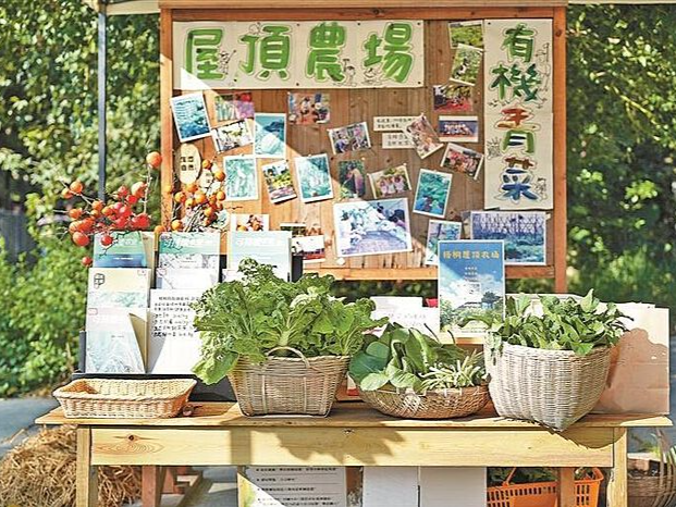 现代陶渊明，田园在屋顶