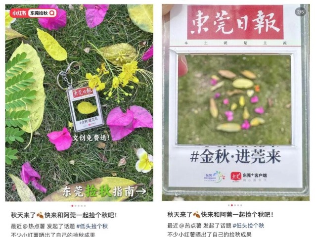 东莞掀起“捡秋”热！大自然布景，生图直出松弛感满满