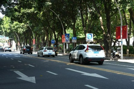 “多杆合一”！中山开展整治行动，打造清爽道路空间