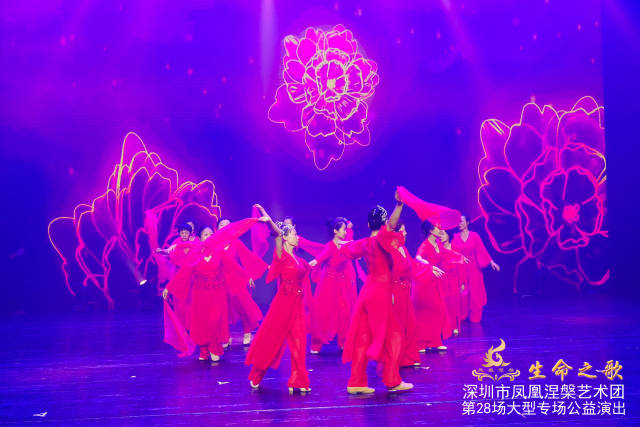 《生命之歌》：用艺术点亮希望，用坚韧绽放生命光彩