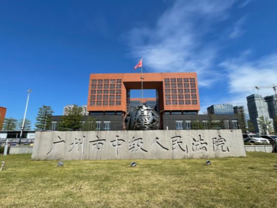 “雪松案”，开庭