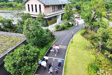 草坪处处可野餐！中山市属公园设置帐篷区接近17万平方米