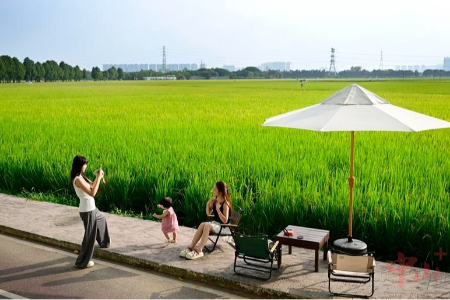 中山崖口村：“农文旅”闯出兴村富民之路