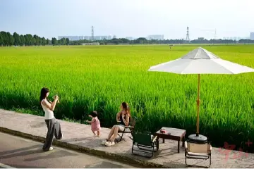 中山崖口村：“农文旅”闯出兴村富民之路