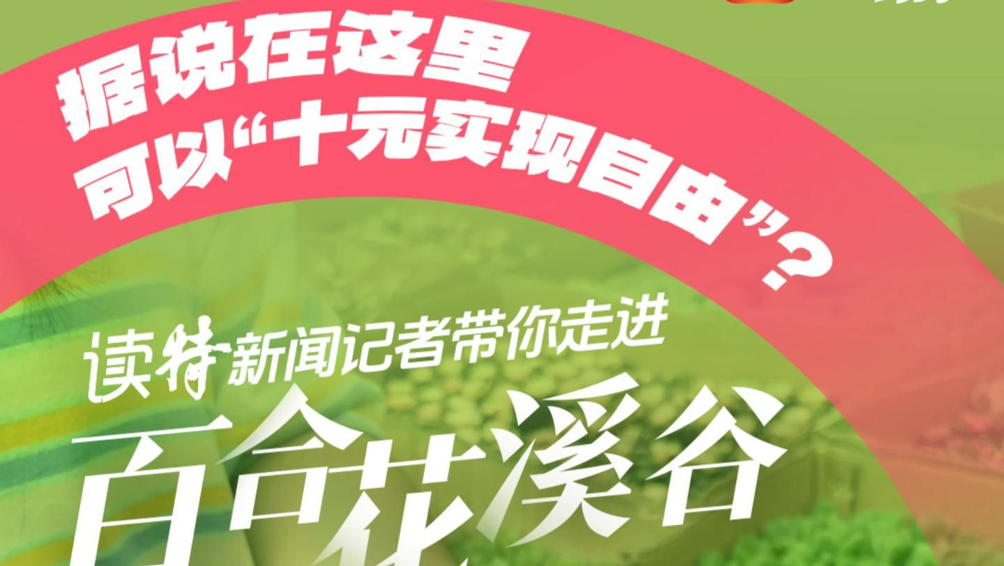 “十元实现鲜花自由”？读特新闻记者带你走进深圳百合花溪谷 | 在场