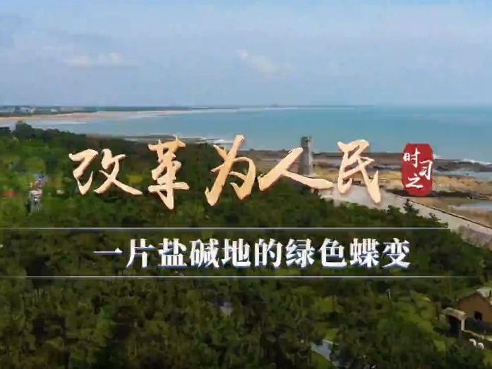 时习之｜一片盐碱地的绿色蝶变