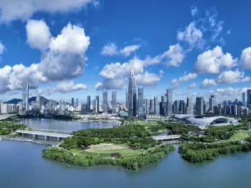沈仲文：建好新时代特区 勇当现代化先锋