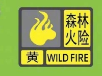 最高气温“3”字头！深圳气温回升，持续干燥