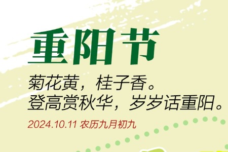 登高赏秋华，岁岁话重阳