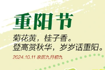 登高赏秋华，岁岁话重阳