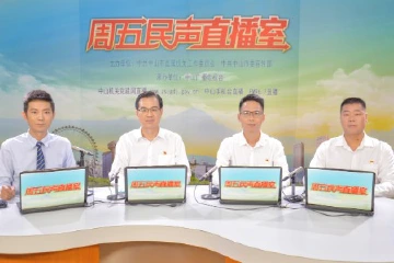 如何以农文旅融合助力乡村振兴？中山神湾镇这样做→