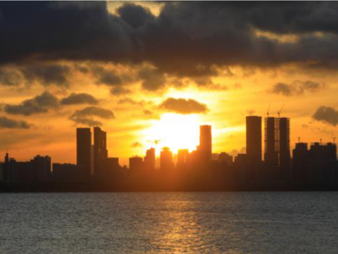 露珠里的世界丨人文天地·南海潮