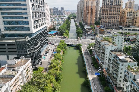 向“绿”而行！中山石岐街道全链条治水，15条河涌焕新颜