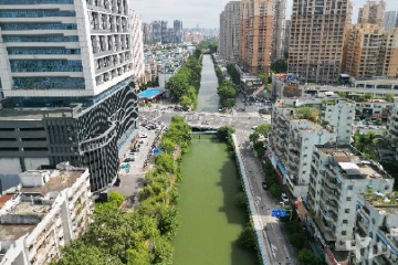 向“绿”而行！中山石岐街道全链条治水，15条河涌焕新颜