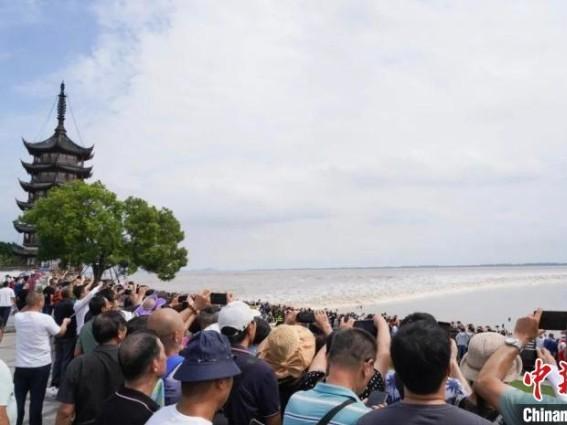 “钱塘江同志”又立新功，浙江警方连续5年抓到观潮逃犯