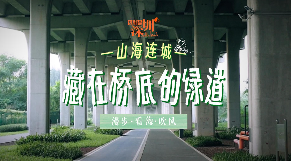 这就是深圳丨藏在桥底的绿道