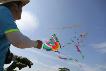 体验放飞的乐趣，中山南朗泮沙村举办首届纸鸢文化节
