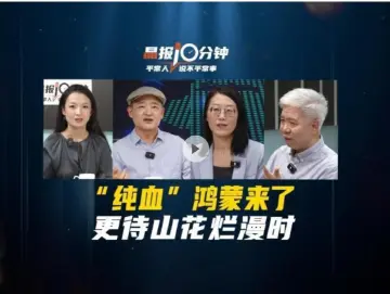 晶报10分钟｜“纯血”鸿蒙来了 更待山花烂漫时