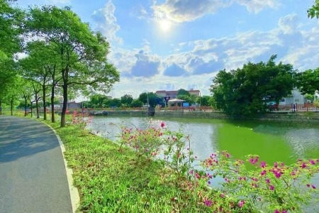 党建引领，5000志愿者参与，“绿美阜沙”亮点纷呈