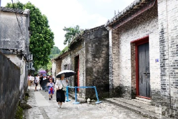 中山南朗翠亨村：“塑形”与“铸魂”并重，“五大行动”打造和美乡村