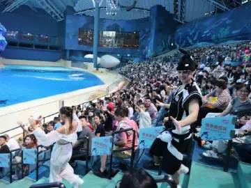 1446.2万人次！国庆假期前4天广东出游成绩单出炉