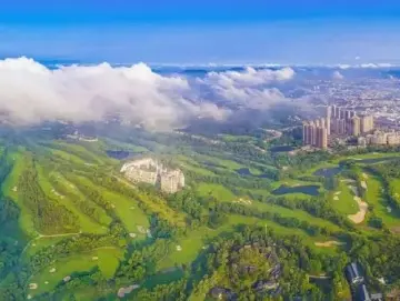 深圳一周丨各区书记区长在忙啥？（10月7日-10月13日）