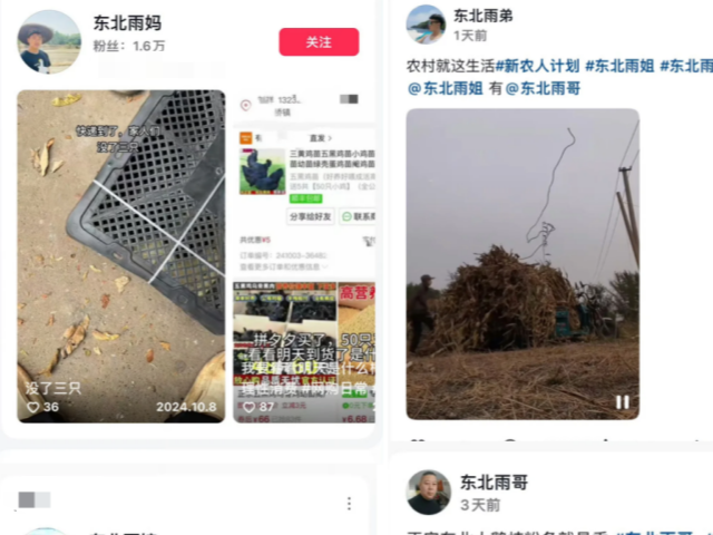 “东北雨姐”被禁言后多个高仿号组成“东北雨宙”，业内人士：蹭流量