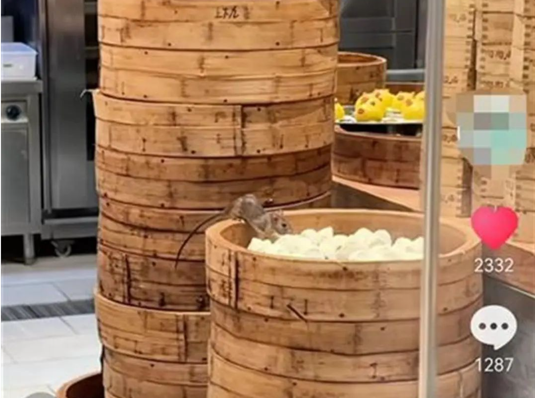 老鼠在陶陶居后厨啃包子？广州市监部门：已立案调查