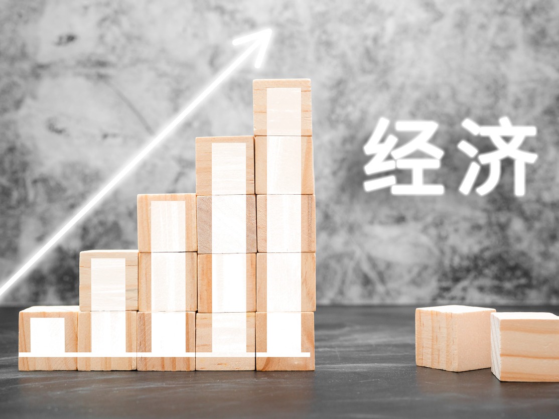 人民日报金社平：努力完成全年经济社会发展目标任务