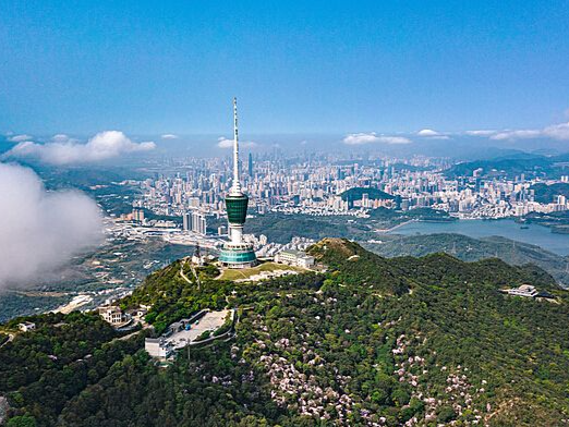 深圳 City Walk｜重阳游玩指南奉上！登高赏花 玩法不重样