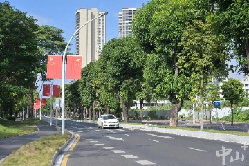 中山：“靓”化道路风景 扩大“绿色版图” | 共建美丽中山
