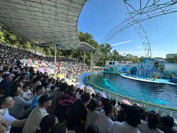 国庆亲子游热潮席卷深圳：白天探秘动物园，夜晚畅享欢乐港湾