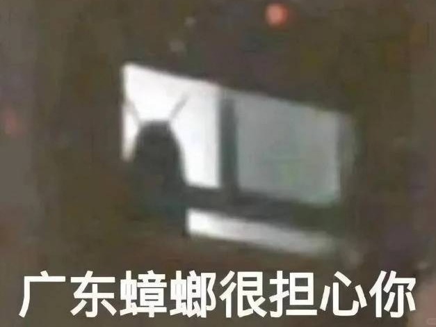 广东蟑螂真“进化”了？四个真相你应该知道