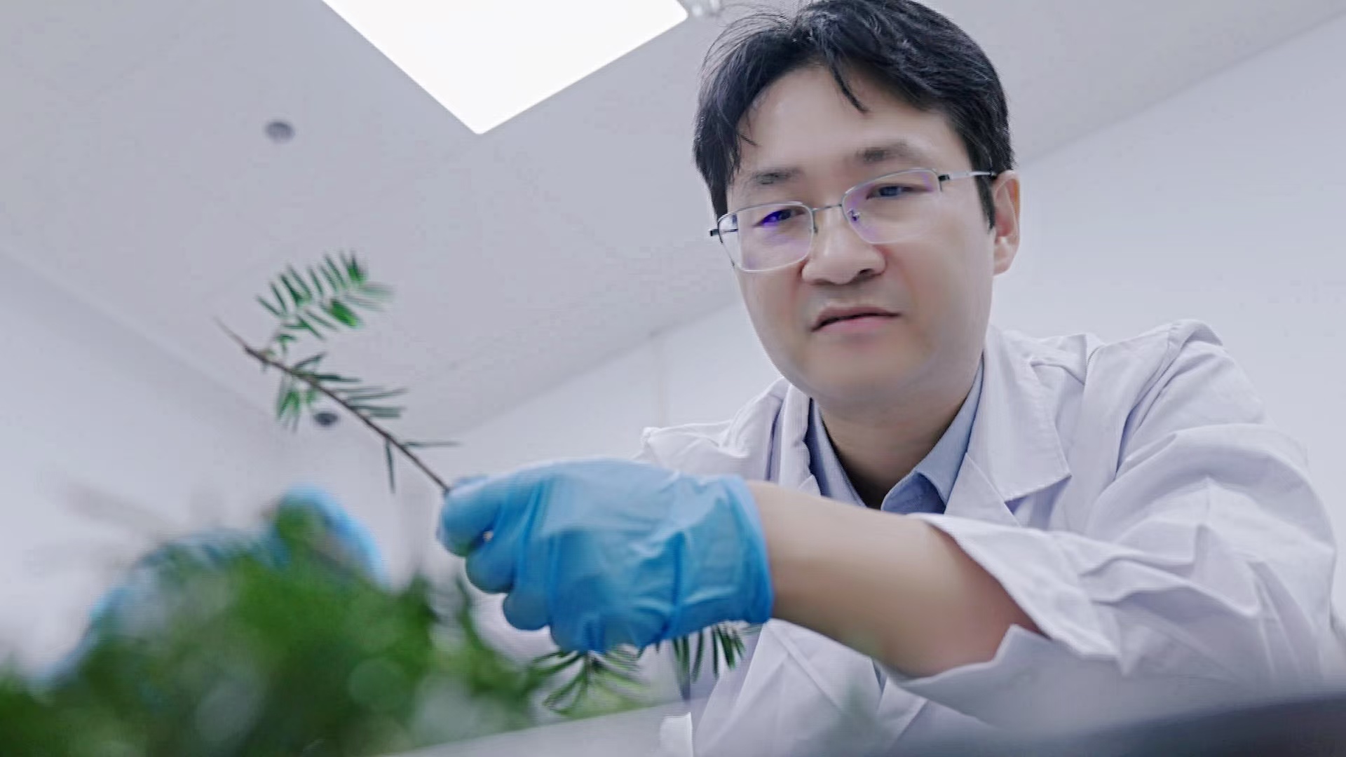 第六届科学探索奖获奖人、深圳青年科学家闫建斌：  开创紫杉醇生物合成新路径，拯救更多人的生命