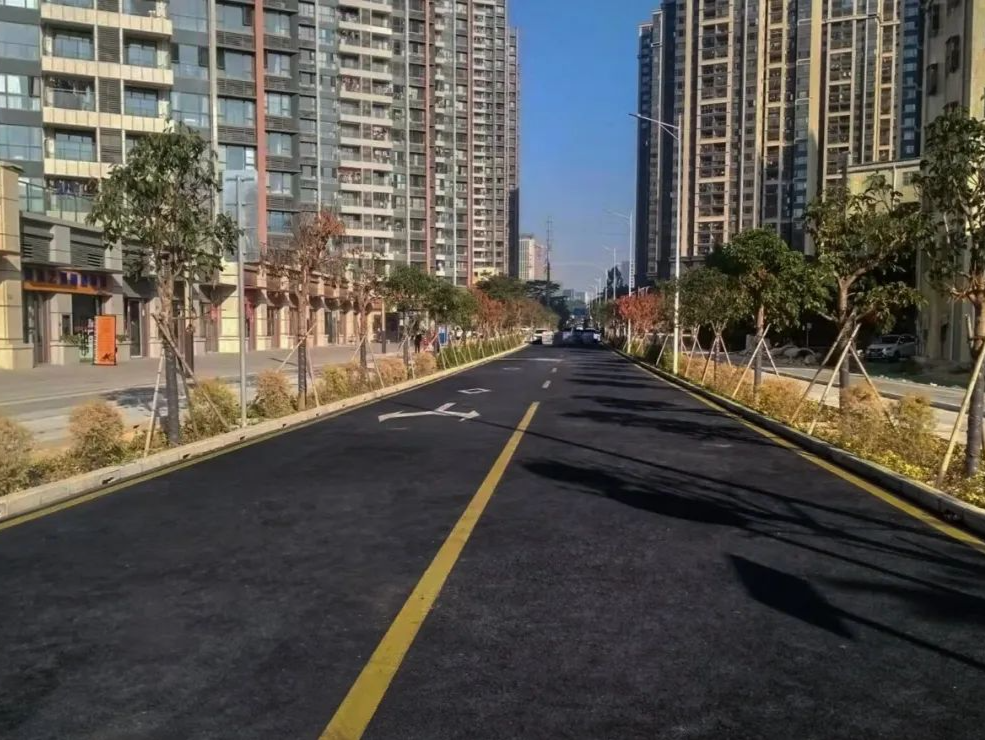 马路丨人文天地·南海潮