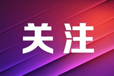 2025年国考10月15日起报名，中山招录85人