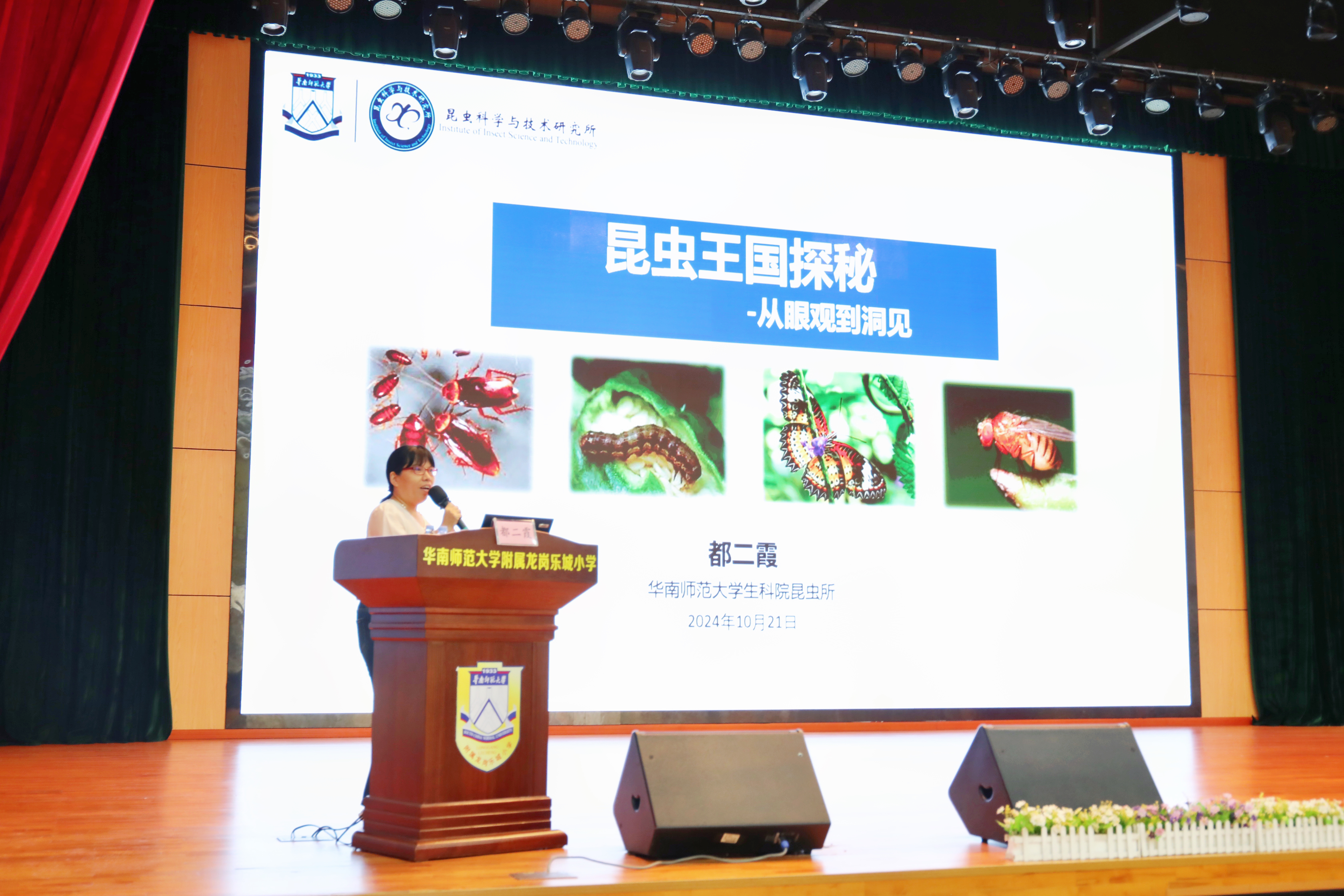 神奇的“昆虫王国”！华南师大生物标本馆科普基地活动走进龙岗校园